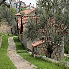 The Mira House